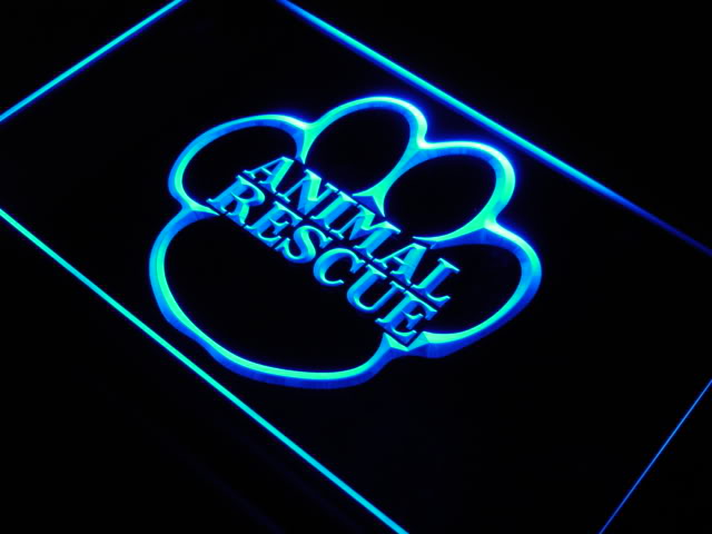 Animal Rescue Pet Shop Dog Cat Neon Light Sign